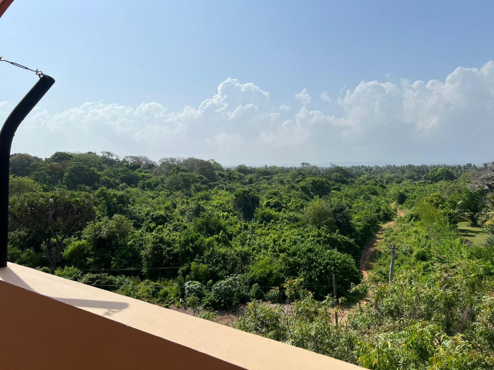 Nocleg ze śniadaniem Tombo House Diani Beach